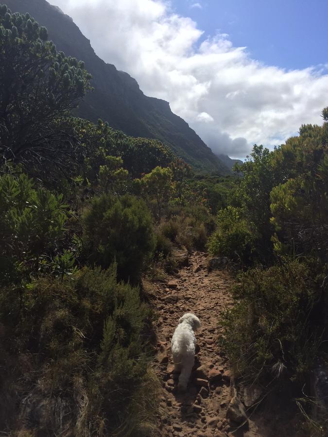 2 On Medburn Leilighet Cape Town Eksteriør bilde